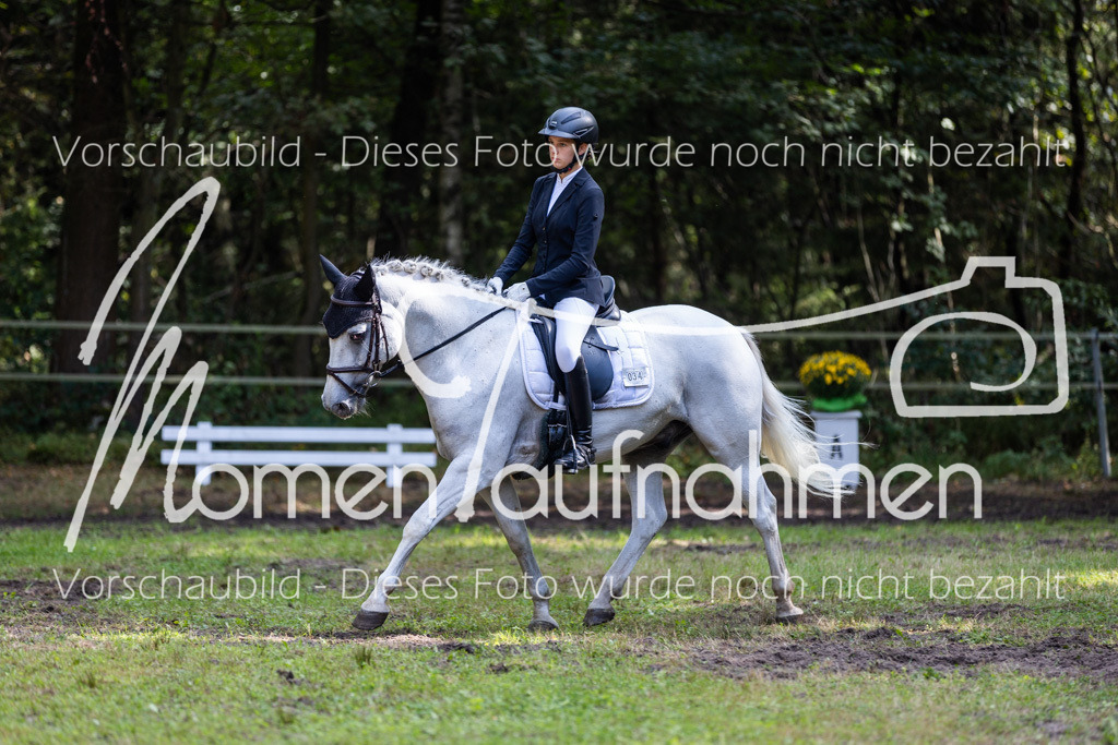 HB-Dressur-WB-108 | MomenTaufnahmen Pferdesportfotos