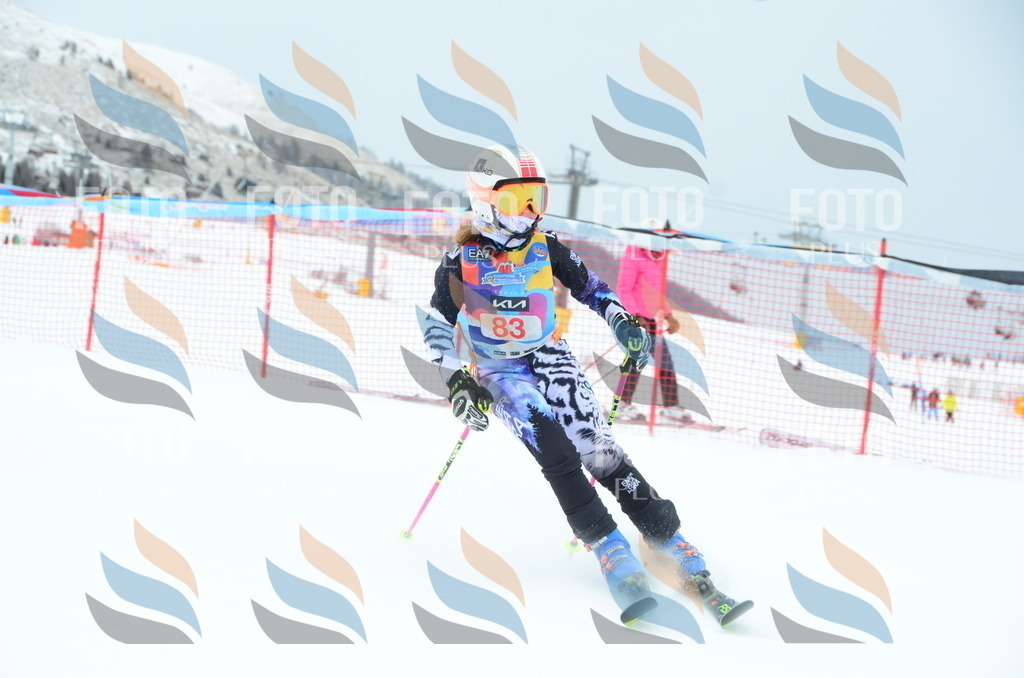 DSC_1133 | holidayphoto