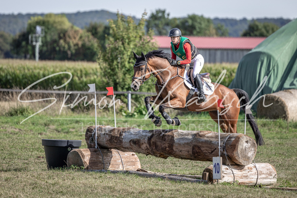 20250907-_3LI2647 | Tierfotografie Pferde, Hunde, Katzen, Haustiere.
Turnierfotografie Reitturniere, Reiten, Springreiten, Dressur in Hanau, dem Main-Kinzig-Kreis und dem Rhein-Main- Gebiet um Frankfurt