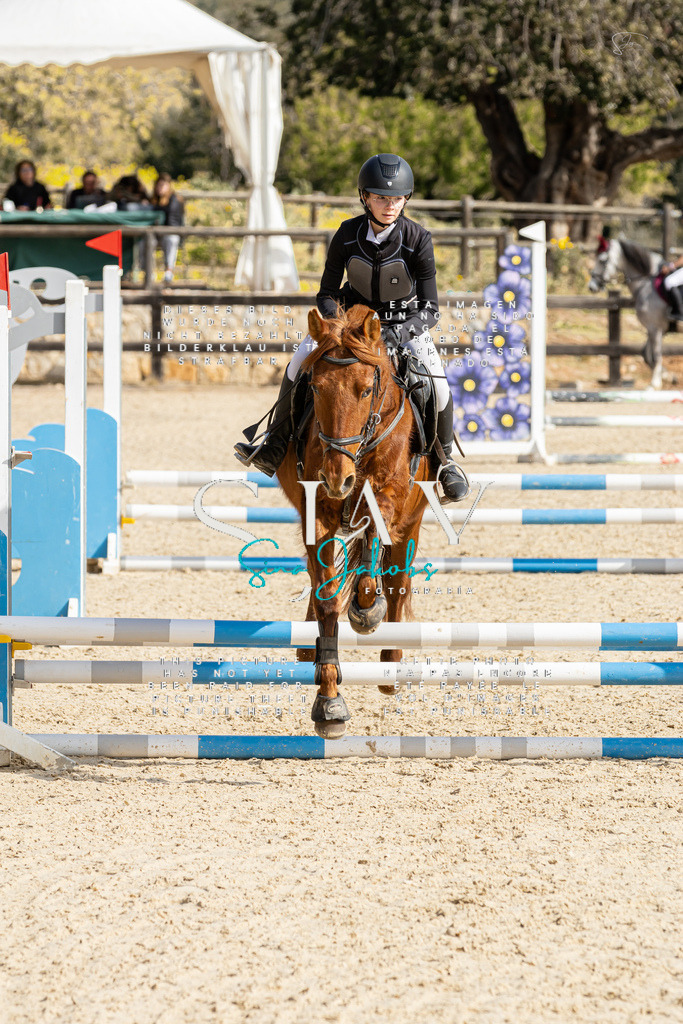 IMG_4331 | s-jay-photography - Realisiert mit Pictrs.com