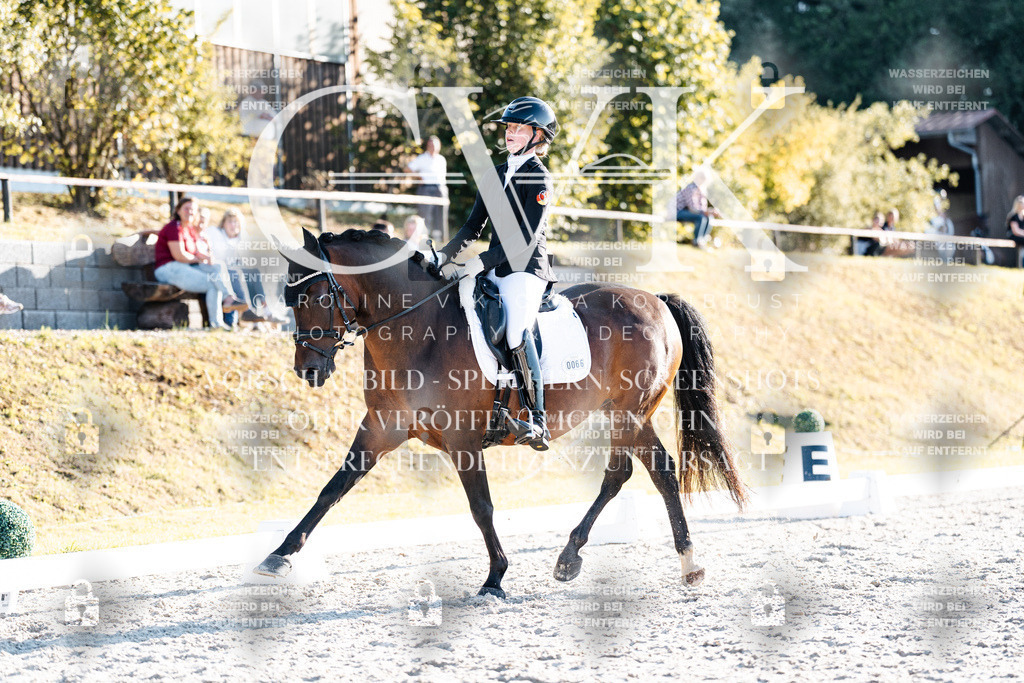 CK907087 | Turnierfotografie Pferdefotografie Trier Rheinland-Pfalz Pferdesport Reitsport Tierfotografie Sportfotografie Pferdevideo Pferdevideografie Equestrianvideography equestrianphotography  - Realisiert mit Pictrs.com