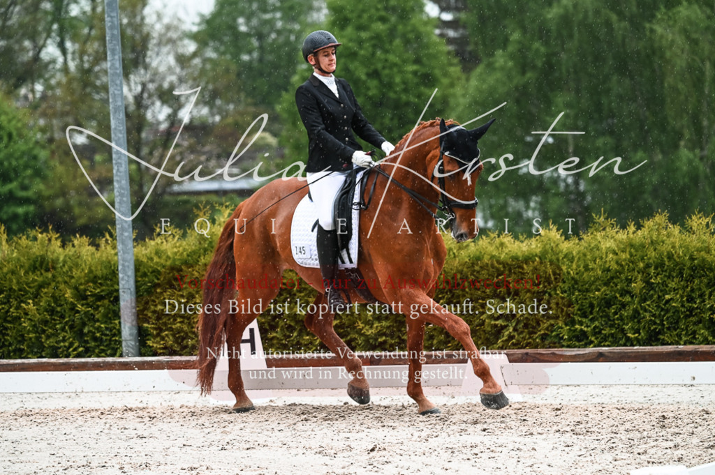 DSC_4431 | Pferde- und Turnierfotografie in Westsachsen. Pferdeportraits, Auftragszeichnungen und intuitive Kunst.