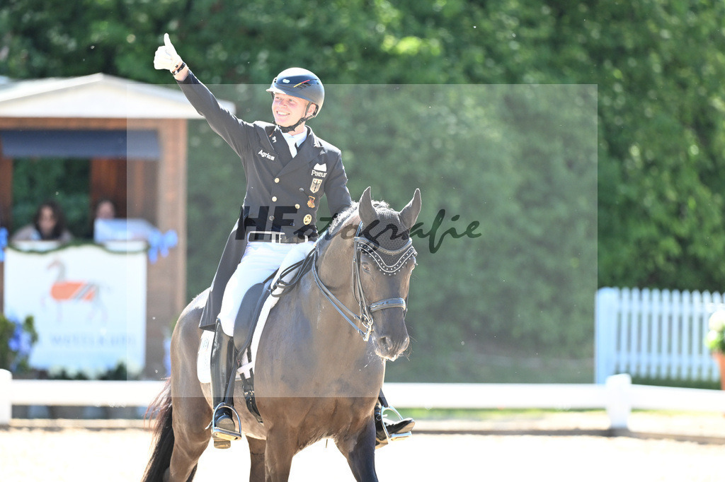 Netz_Dieudonne_11253575 | hf-fotografie - Realisiert mit Pictrs.com