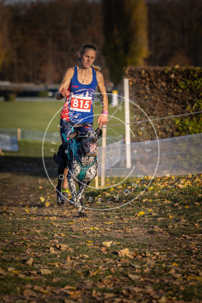 CaniXpix_DV3A3133 | Hundefotografie, Tierfotograf, Pfotenfotografie, Fotoshooting Hund, Hunde Portrait, Hundesport, Hundeportraits, Heideshooting, Hunde, Sportfotograf, Hundefotograf, Turnierhundsport, THS,  - Realisiert mit Pictrs.com