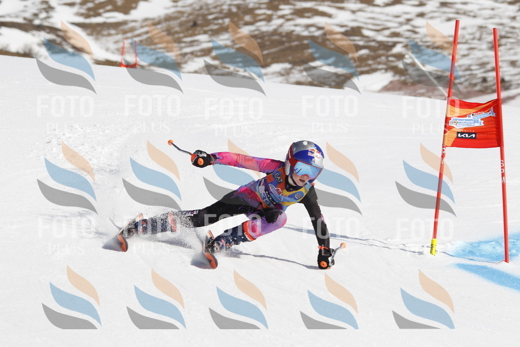 _U3G9209 | holidayphoto