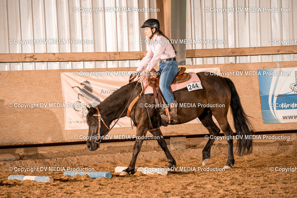 BAL03184 | dv-media-shop - Realisiert mit Pictrs.com