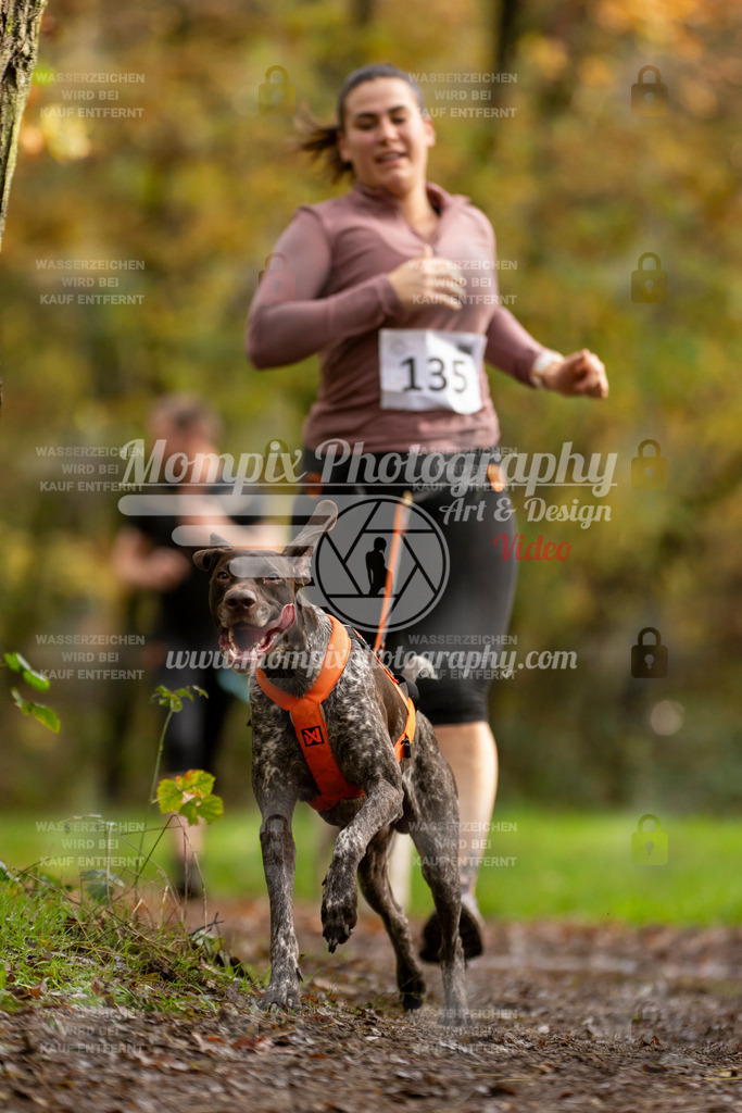 MompixPhotography_Bischwiller23_Canicross-136 | PayLife