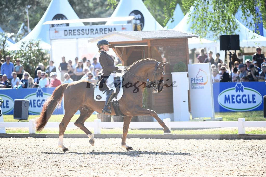 Reichert_Springbank II VH_11253825 | hf-fotografie - Realisiert mit Pictrs.com