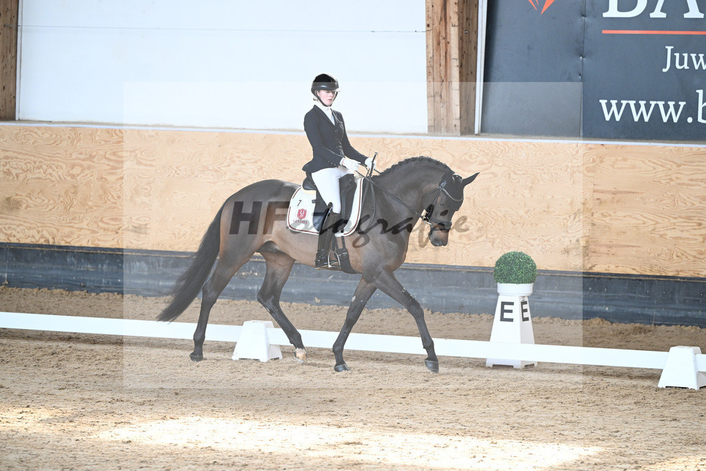 Kat-Nr. 7 Lancelot v. Ivanhoe_Gehrmann_5240128 | hf-fotografie - Realizzato con Pictrs.com