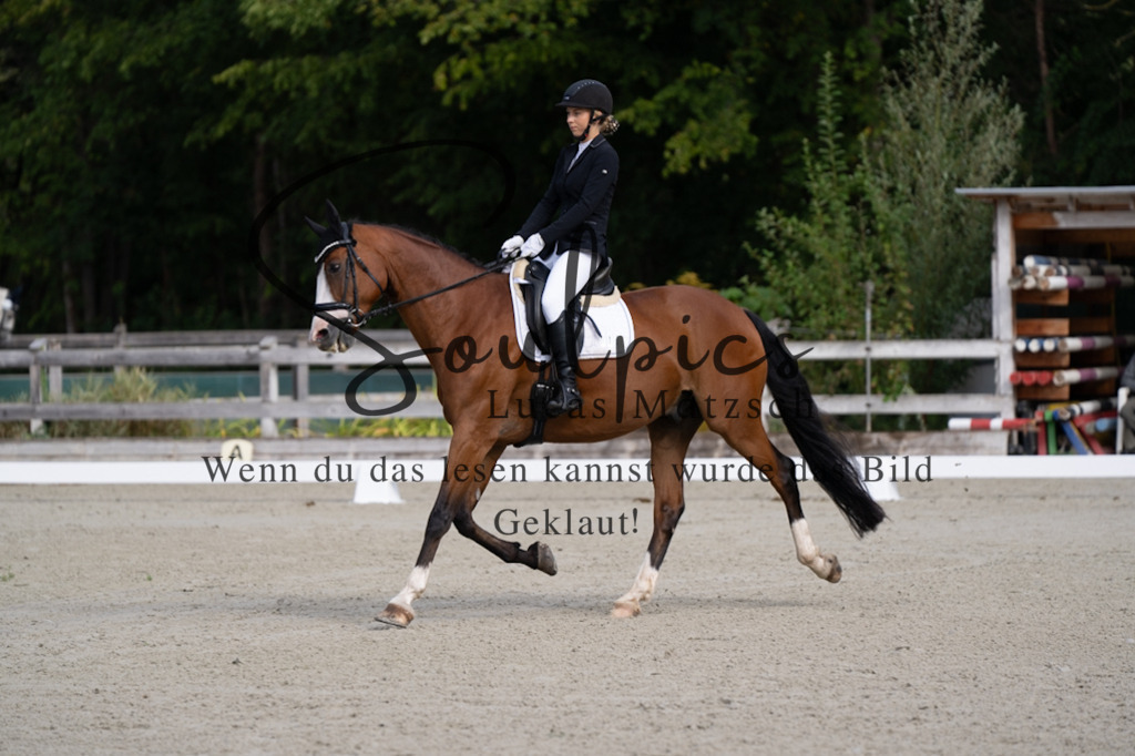 A7V06808 | Turnier/Reitfotograf