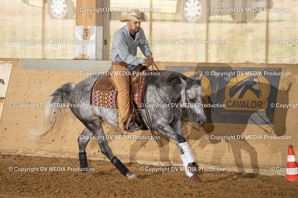 LAU01579 | dv-media-shop - Realisiert mit Pictrs.com