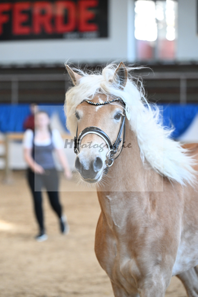 Kat-Nr. 21 nn v. Barion_Stecher_48250422 | hf-fotografie - Realisiert mit Pictrs.com