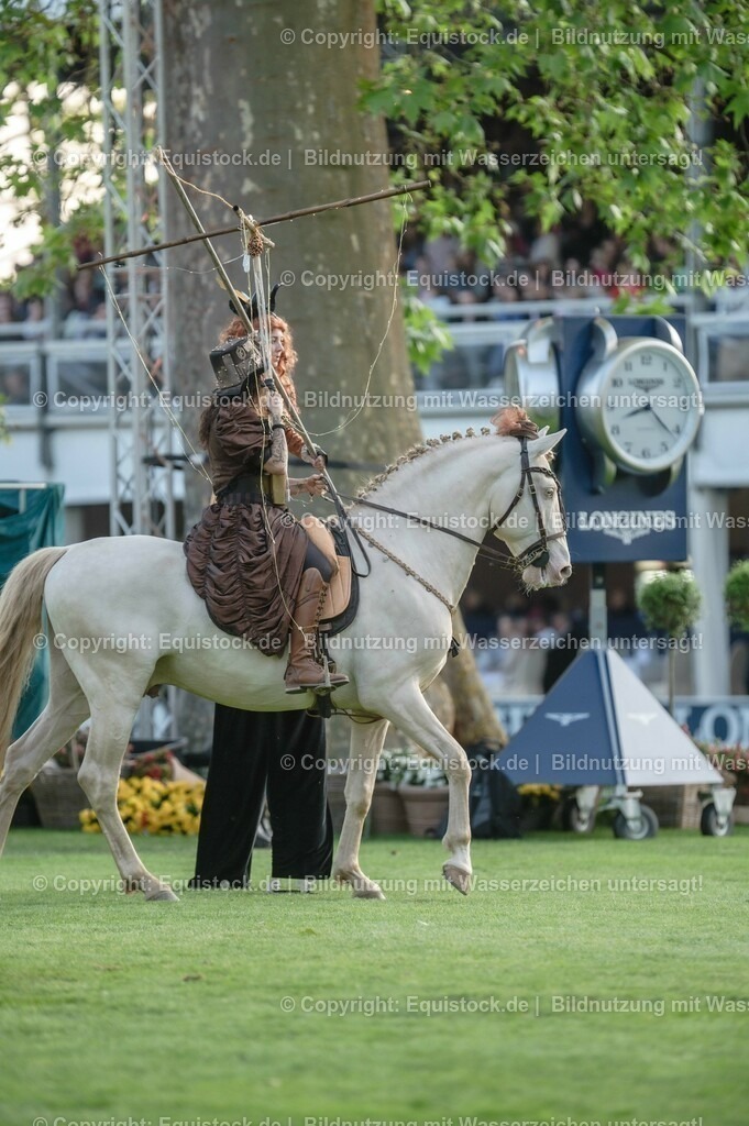 20230526_Pferdenacht_0289 | equistock