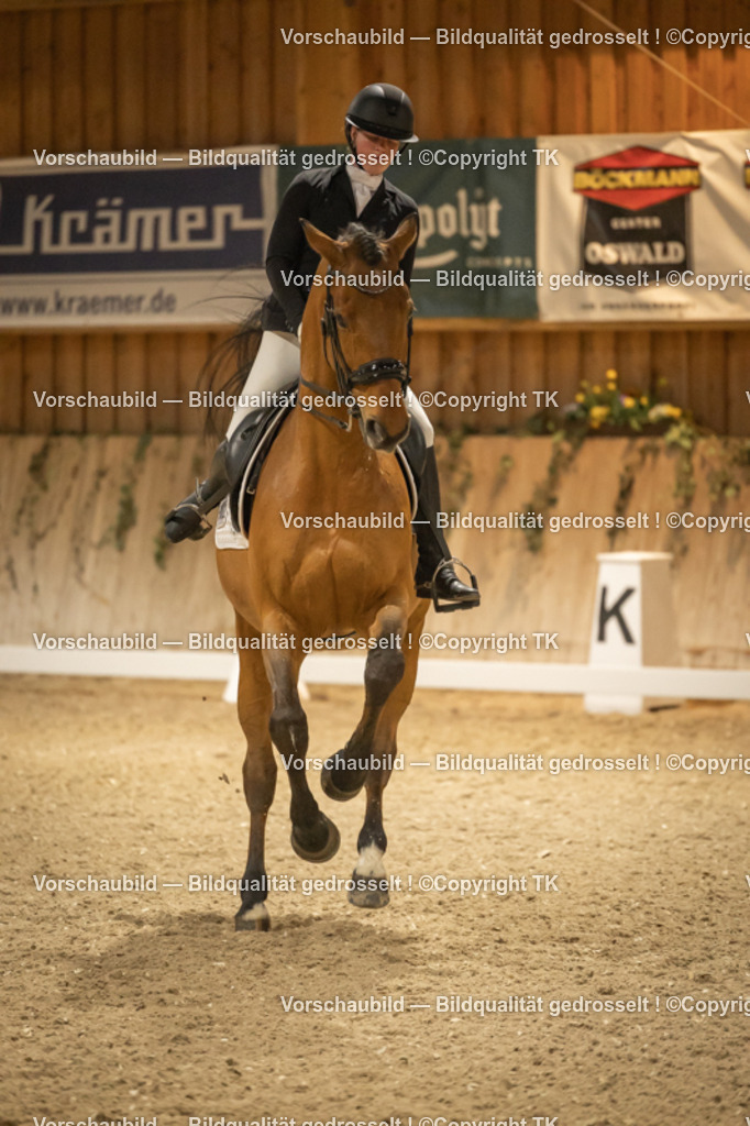 _D5A3971 | Emotionale Pferde- & People-Fotografie rund um Heidelberg, Leimen & Umgebung. Natürliche Fotos von Pferd, Mensch & Familie. Jetzt Termin sichern!