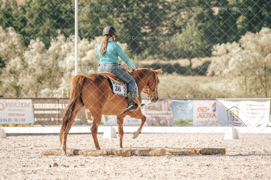 DSC00637 | ikphotography - Realisiert mit Pictrs.com