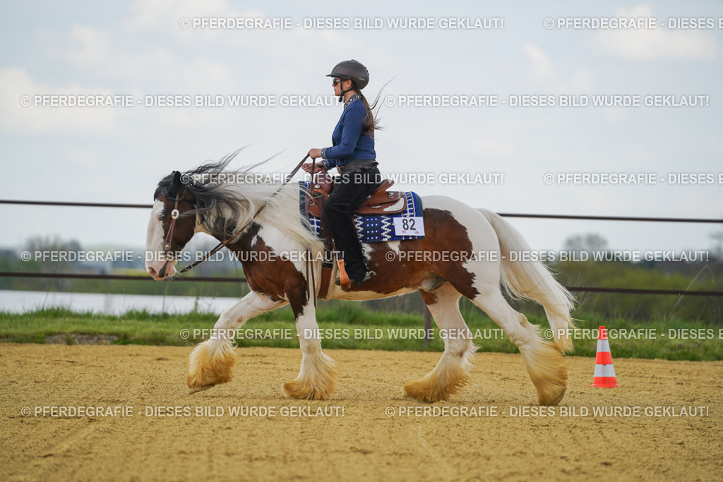 DSC06004 | Pferdegrafie