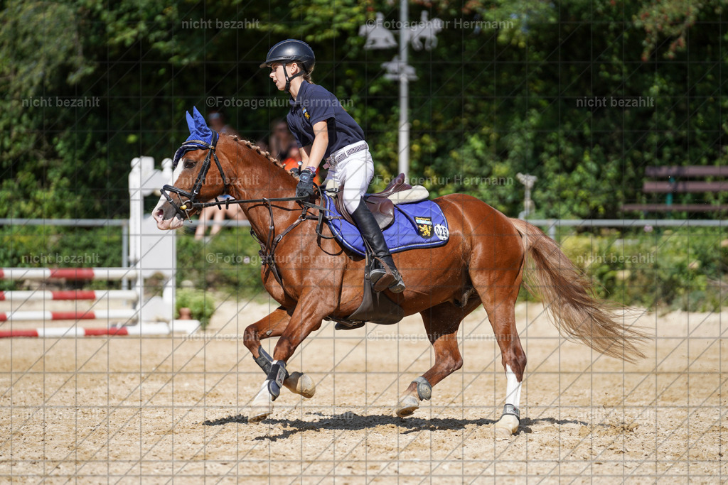 20240824-FAH08325 | Thierhaupten 2024, Bayerisches Landesponyturnier, Turnierbilder, Ponybilder, Turnierfotografen Bayern, Fotoagentur Herrmann