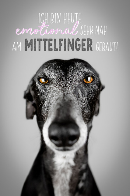 Nico Mittelfinger | "Ich bin heute emotional sehr nah am Mittelfinger gebaut!"