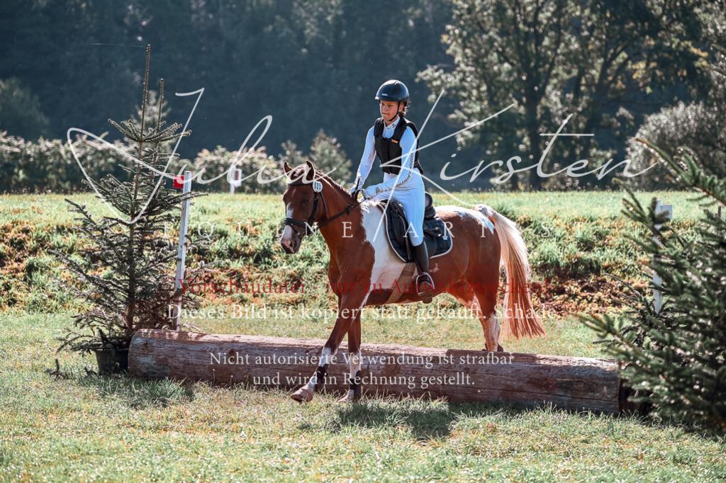 DSC_1018 | Pferde- und Turnierfotografie in Westsachsen. Pferdeportraits, Auftragszeichnungen und intuitive Kunst.