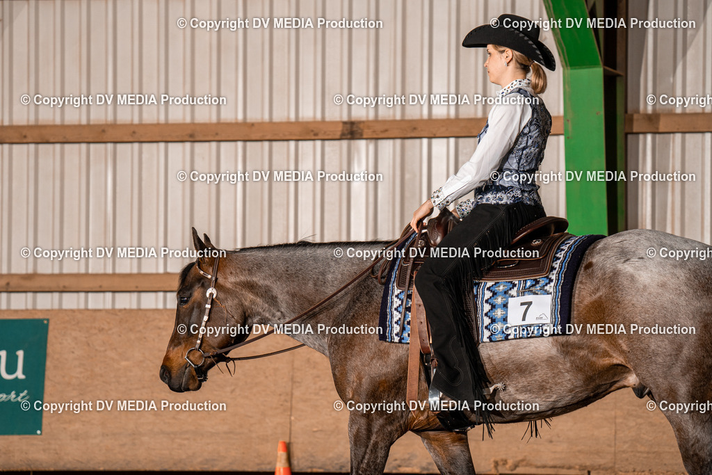 BAL00056 | dv-media-shop - Realisiert mit Pictrs.com