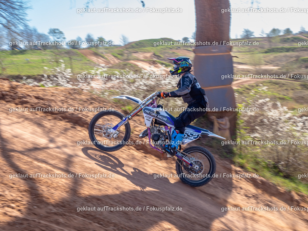 Schweyen040525-71 | Trackshots.de / Fokuspfalz.de - Realisiert mit Pictrs.com