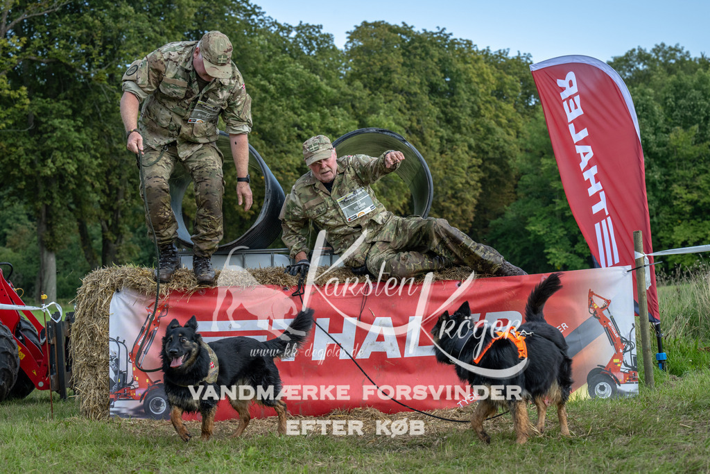 1318_ZZ92956 | kk-dogfotos