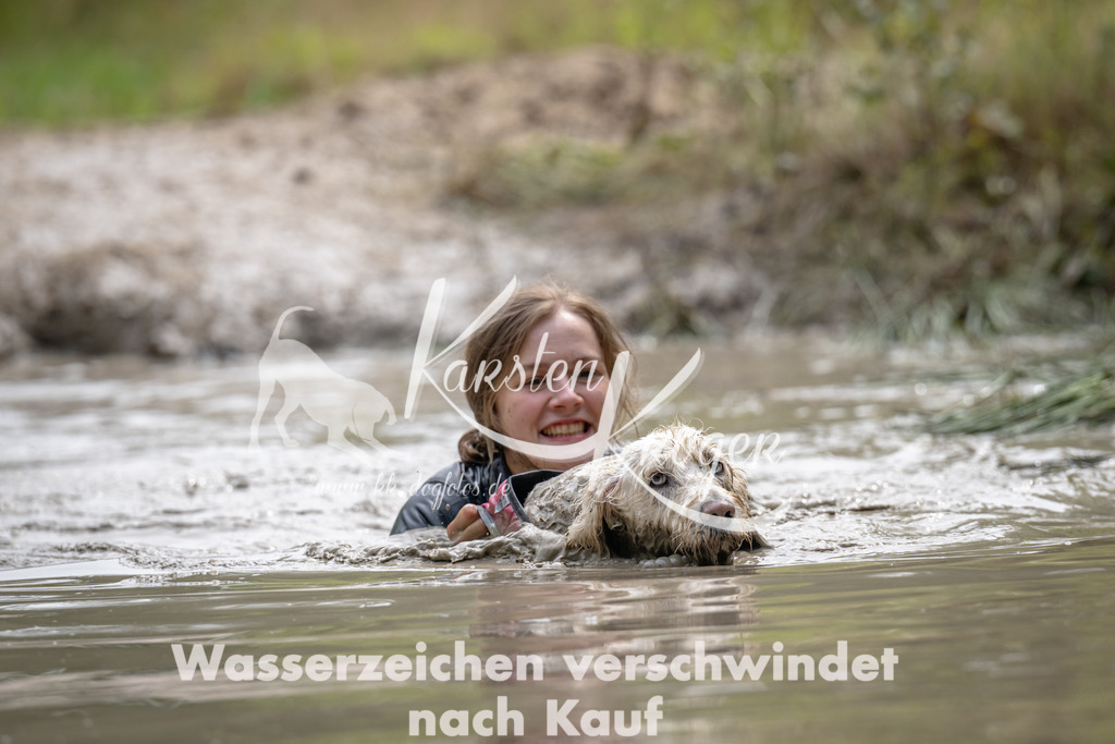 1458_ZZ94699 | kk-dogfotos