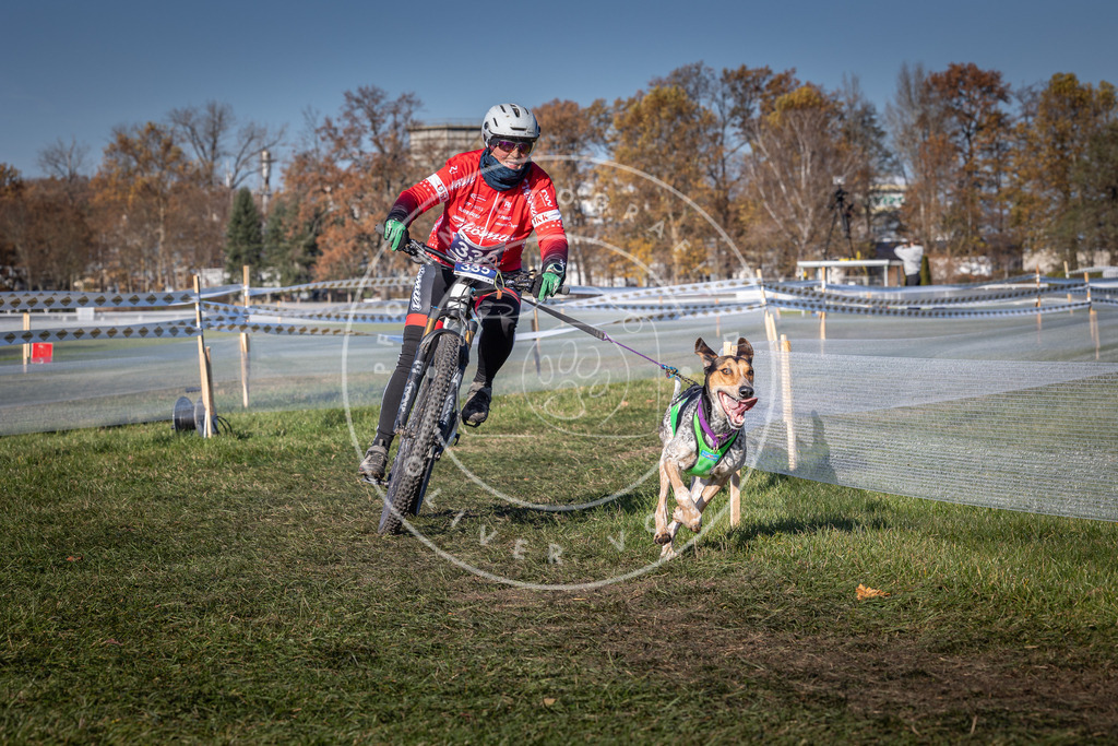 CaniXpix_0L8A5862 | Hundefotografie, Tierfotograf, Pfotenfotografie, Fotoshooting Hund, Hunde Portrait, Hundesport, Hundeportraits, Heideshooting, Hunde, Sportfotograf, Hundefotograf, Turnierhundsport, THS,  - Realisiert mit Pictrs.com
