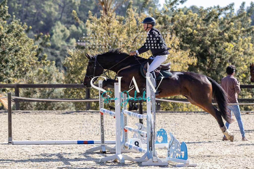 IMG_6368 | s-jay-photography - Realisiert mit Pictrs.com