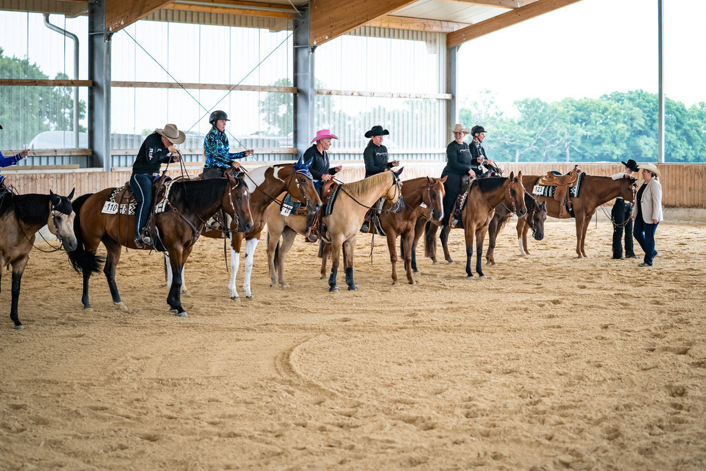 DSC09330 | Pferdegrafie