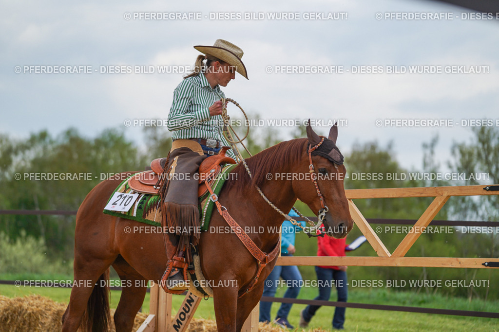 DSC06876 | Pferdegrafie