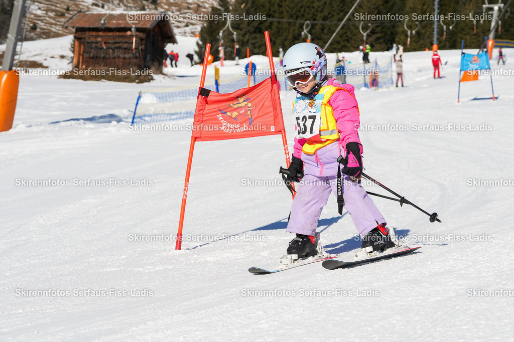 SRF_16.01.2026_0146 | SRF_16.01.2026_0146 - Realisiert mit Pictrs.com