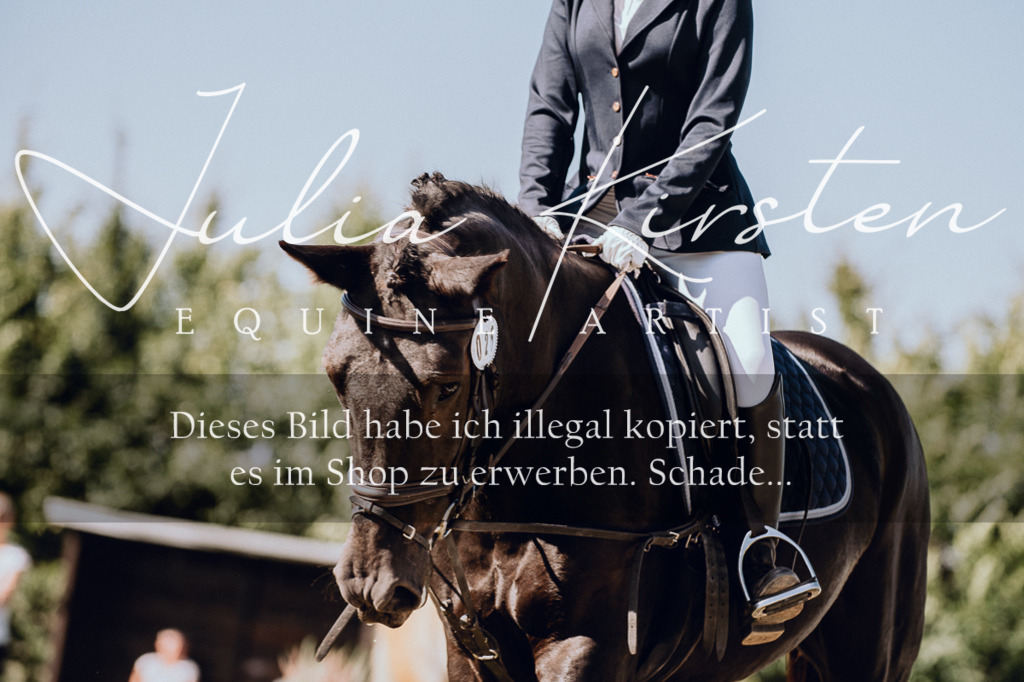 DSC_7215 | Pferde- und Turnierfotografie in Westsachsen. Pferdeportraits, Auftragszeichnungen und intuitive Kunst.
