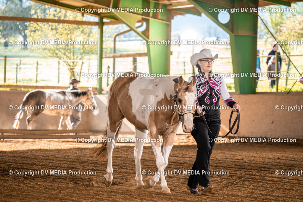 Balingen Tag 1-25 | dv-media-shop - Realisiert mit Pictrs.com