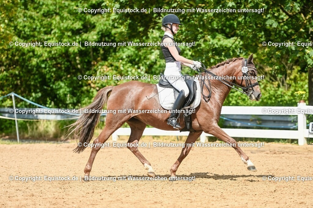 20230716_01_Dressurprüfung Kl.M_0349 | equistock