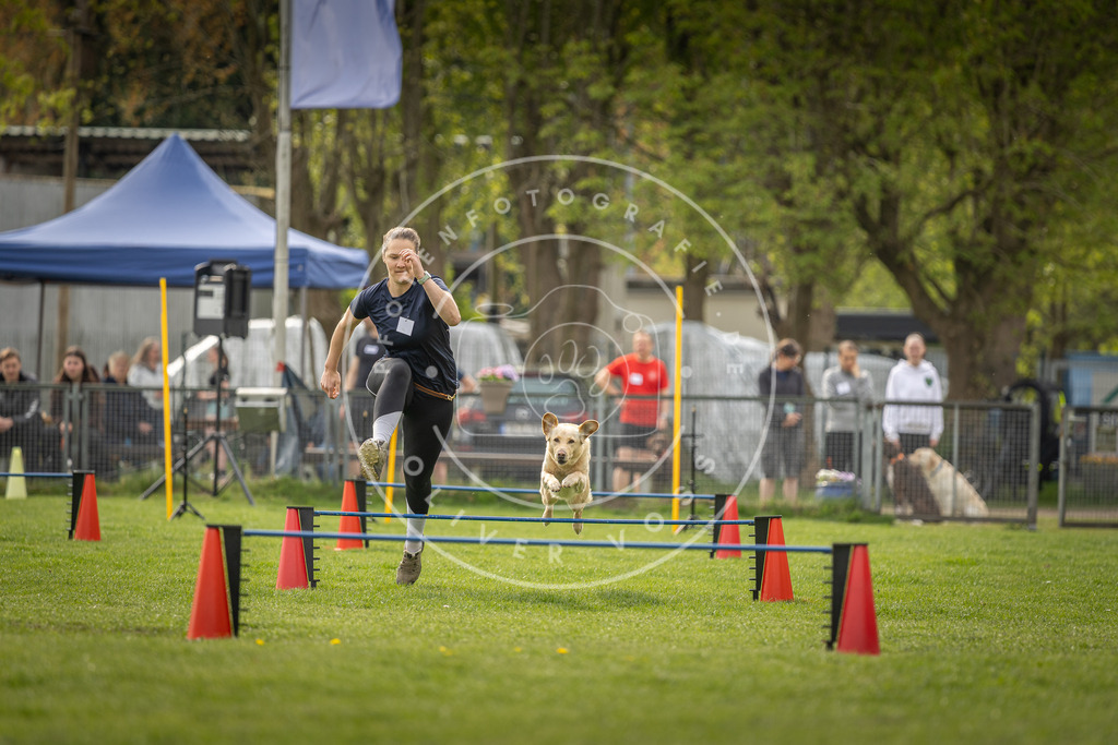 Pfotenfotografie_DV3A5782 | Hundefotografie, Tierfotograf, Pfotenfotografie, Fotoshooting Hund, Hunde Portrait, Hundesport, Hundeportraits, Heideshooting, Hunde, Sportfotograf, Hundefotograf, Turnierhundsport, THS,  - Realisiert mit Pictrs.com