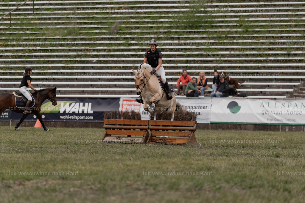 Showprogramm-392 | working equitationturnier fotograf videograf stoibphotography marixx film working equitation deutschland reitsport turnierfotografie eventfotografie equestrian events