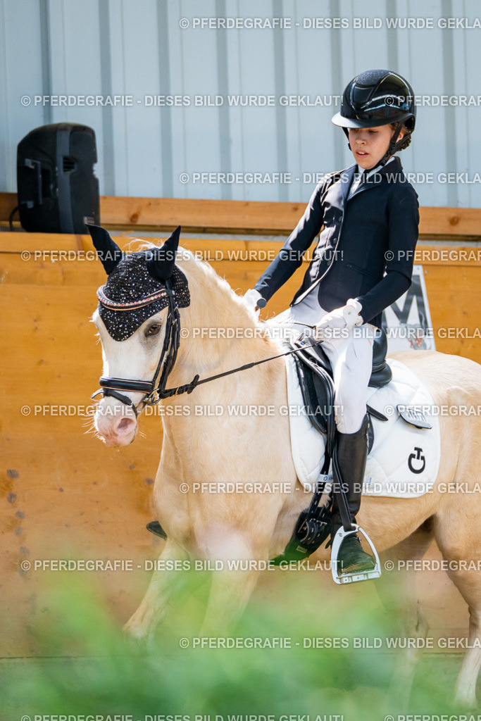 DSC09151 | Pferdegrafie