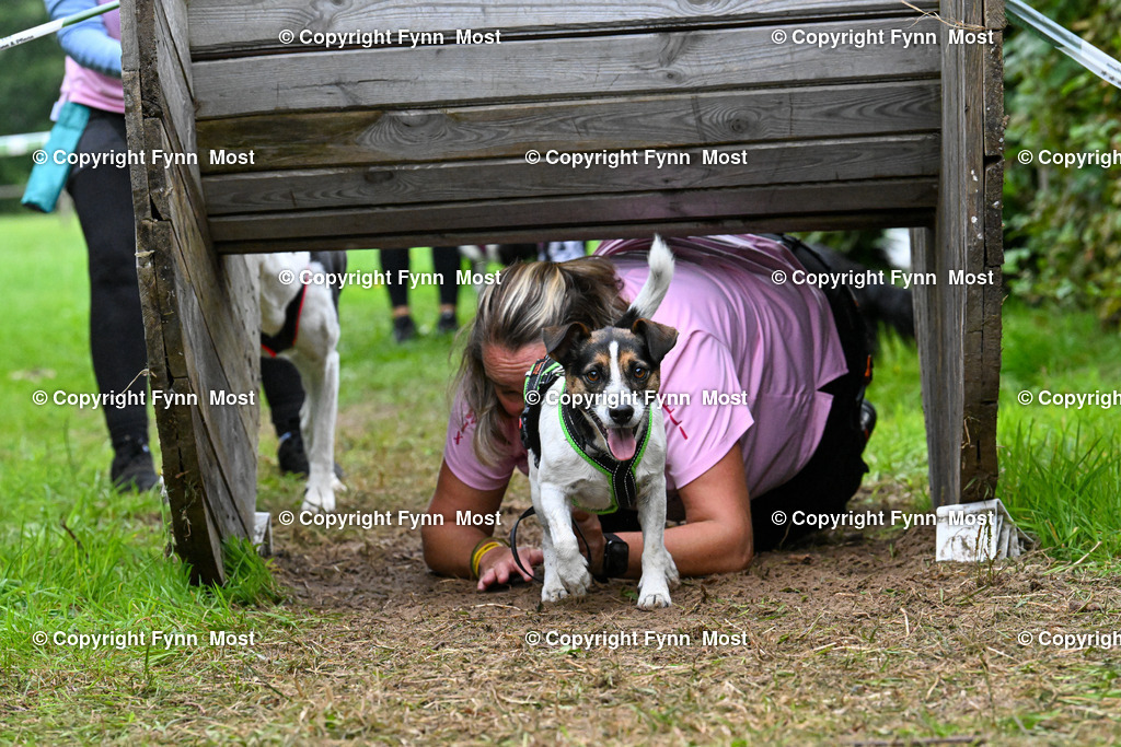 DSC_0717 | Hallo und herzlich Willkommen auf meiner Shop-Seite Fynn Most.

Ich wünsche Dir viel Spaß beim stöbern durch die Bilder, wenn Du Fragen hast oder Bilder vermisst, kannst du mir gerne eine Nachricht schreiben. - Realisiert mit Pictrs.com