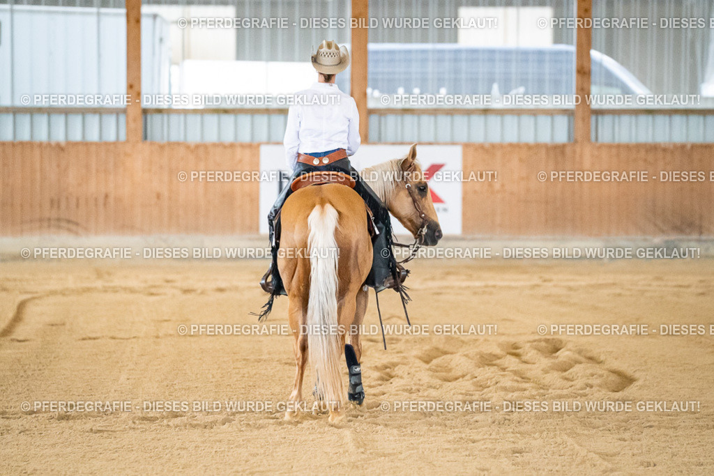 DSC08717 | Pferdegrafie