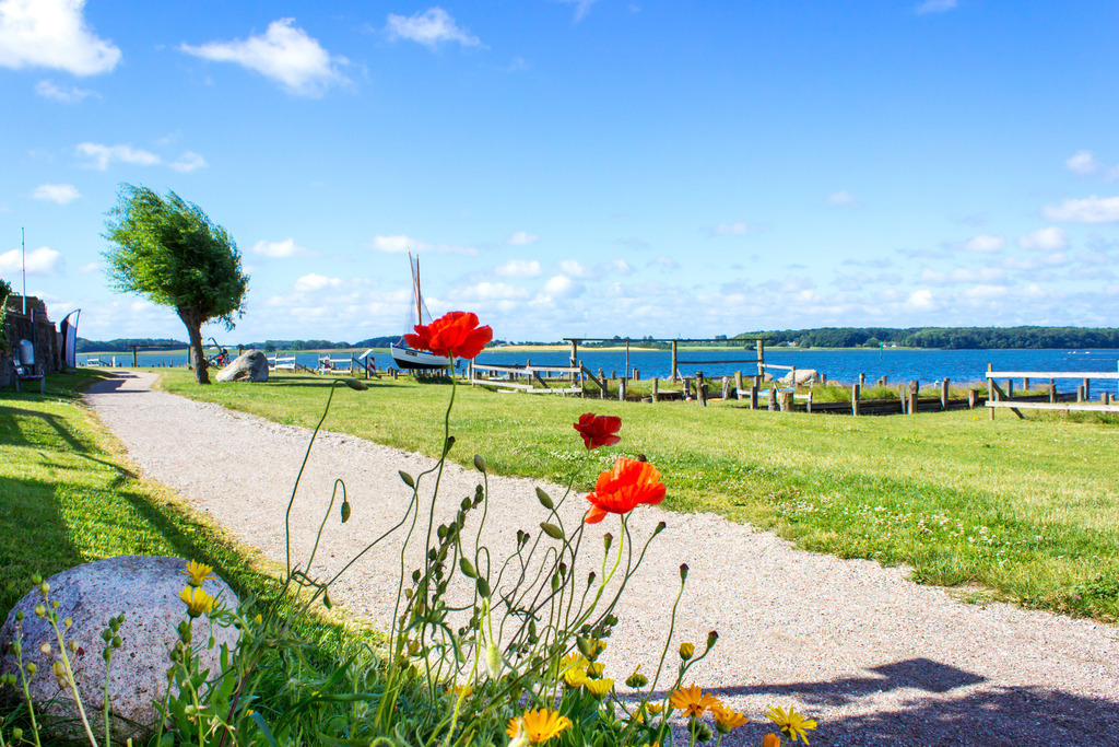Wandbild: Frühling in Maasholm  | Dieses Wandbild im Querformat zeigt frühlingshafte Blumen am Spazierweg in Maasholm. Am blauen Himmel zeigen sich nur wenige Wolken. - Realisiert mit Pictrs.com