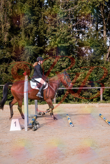 2026_10_03_Siefer-Hof_143436_Z81_02352312 | Professionelle Reitsport-, Turnier- und Eventfotografie von Robert Broda. Galerien mit ausgewählten und bearbeiteten Bildern direkt online ansehen und bestellen.