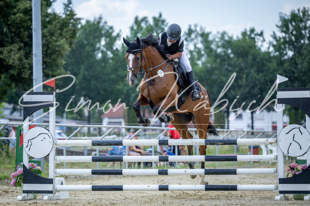 20260704-_3LI1555 | Tierfotografie Pferde, Hunde, Katzen, Haustiere.
Turnierfotografie Reitturniere, Reiten, Springreiten, Dressur in Hanau, dem Main-Kinzig-Kreis und dem Rhein-Main- Gebiet um Frankfurt
