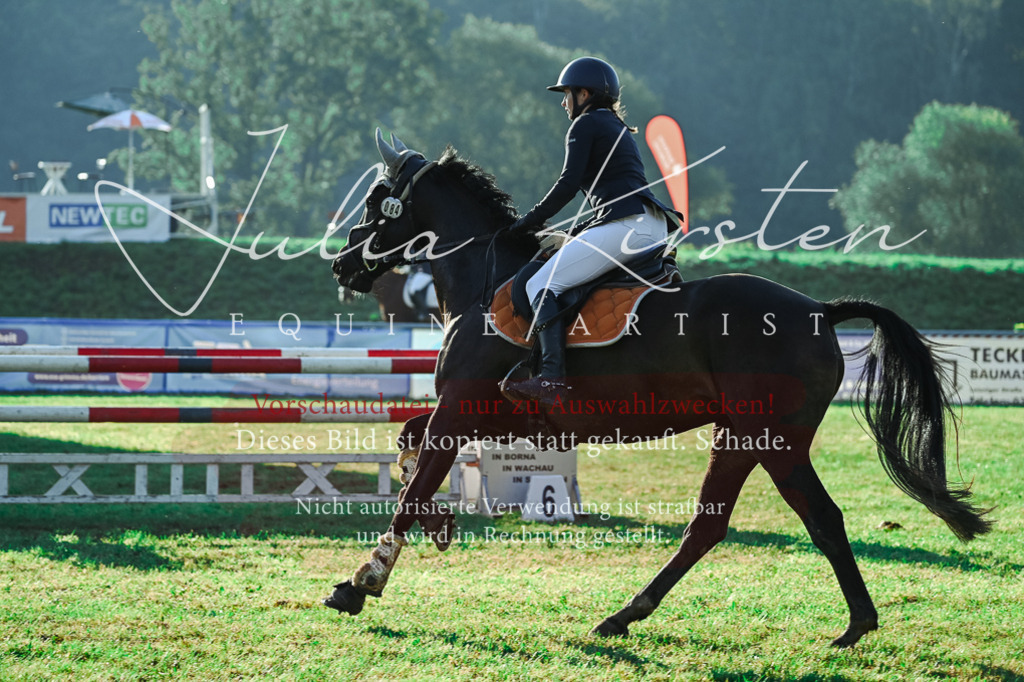 DSC_4440 | Pferde- und Turnierfotografie in Westsachsen. Pferdeportraits, Auftragszeichnungen und intuitive Kunst.