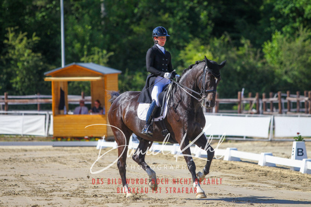 DKP42608 | Turniersportfotografie; Pferdefotografie; Dressurfotografie
