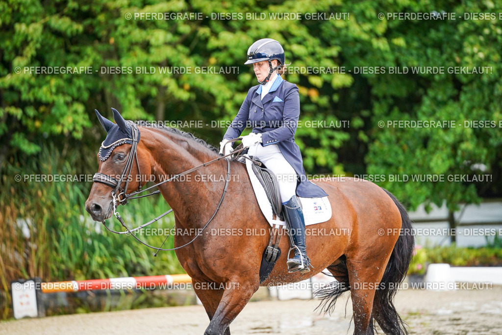 DSC00165 | Pferdegrafie