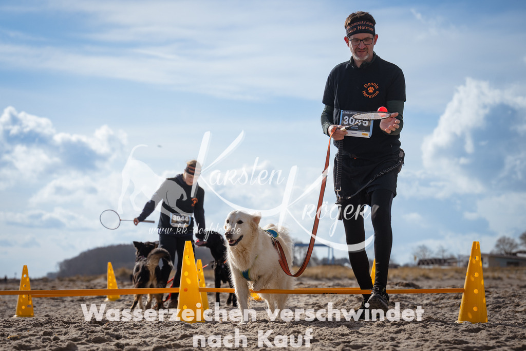 1319_ZZ91359 | kk-dogfotos