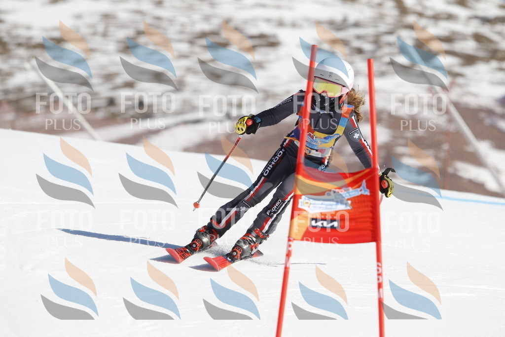 _U3G8588 | holidayphoto