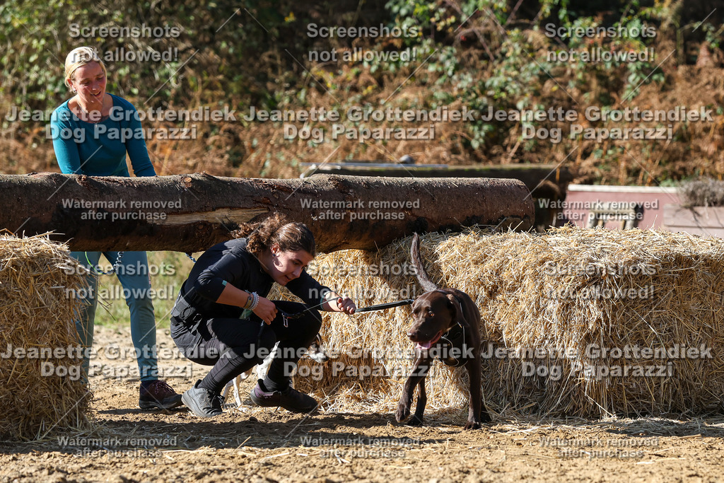 Dog Paparazzi - Strongdog 10-25-4678 | Dog Paparazzi Jeanette Grottendiek Fotografie & Videografie - Realisiert mit Pictrs.com