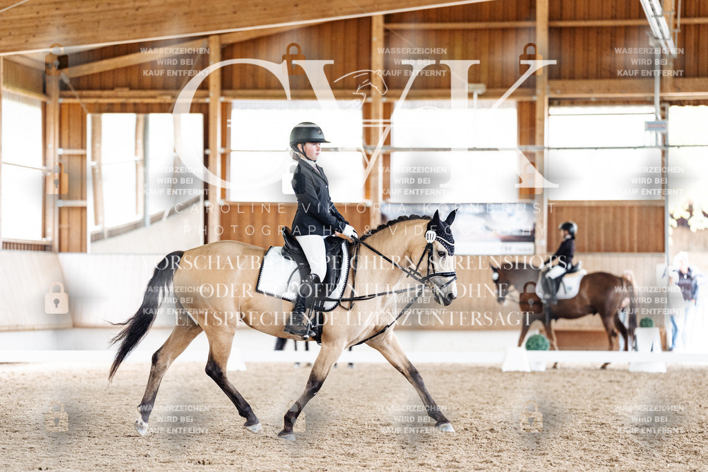 CK901512 | Turnierfotografie Pferdefotografie Trier Rheinland-Pfalz Pferdesport Reitsport Tierfotografie Sportfotografie Pferdevideo Pferdevideografie Equestrianvideography equestrianphotography  - Realized with Pictrs.com